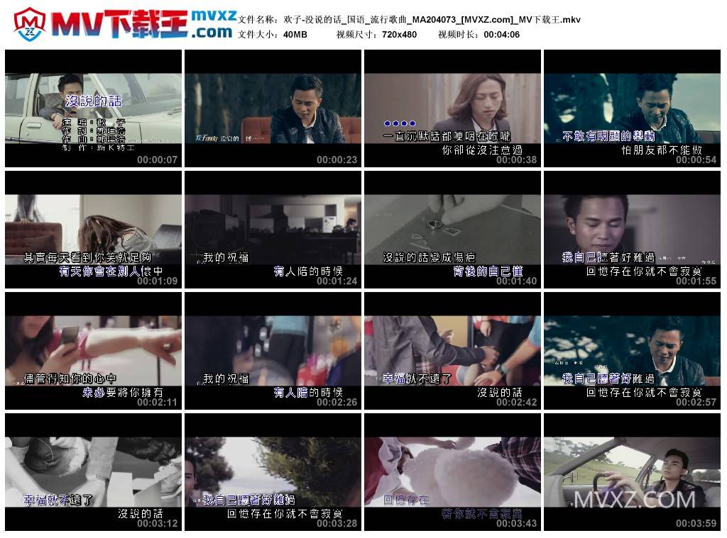 欢子-没说的话_国语_流行歌曲_MA204073